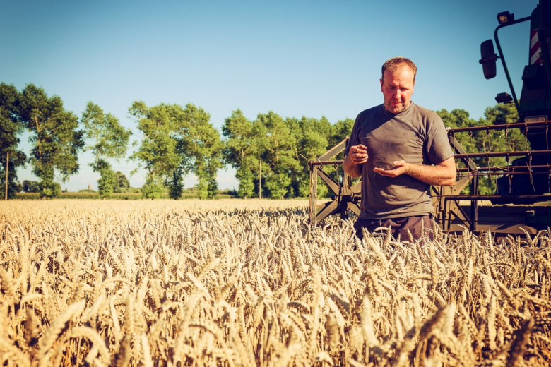 «Союз экспортёров зерна» озвучил консенсус-прогноз по урожаю-2022 